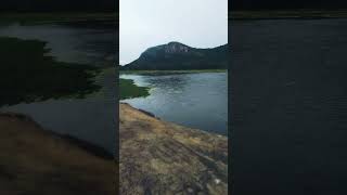 subscribers please dharmarajagala fotest monastery 💚💚💚🇱🇰😮 shortvideo nature travel beautiful [upl. by Ranique253]