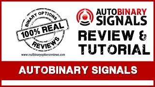 Auto Binary Signals EA  Review and Gudelines on How to use the Signals [upl. by Redwine]