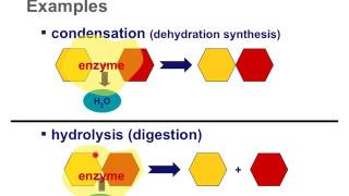 Energy amp Chemical Reactions [upl. by Annayek]