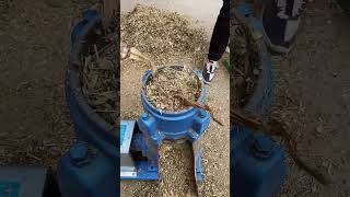 Four rollers feed pellet making machine [upl. by Shani]