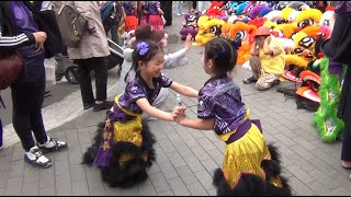 Moon festival 2024 in Cabramatta [upl. by Dahraf]