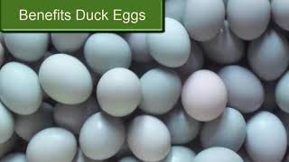 Benefits of Duck Eggs are good for men  its very good [upl. by Lilly325]