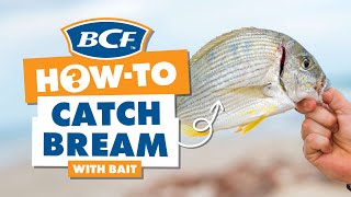 Catch Bream with Bait  BCF How To [upl. by Neelrihs611]