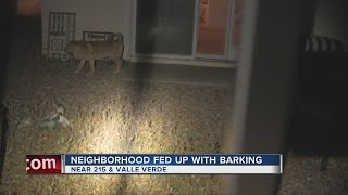 Henderson neighborhood fed up with dogs barking [upl. by Aikcin]