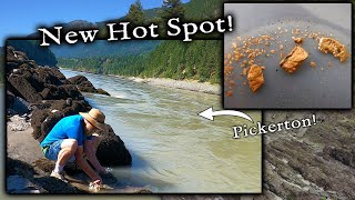 Found a new GOLD HOT SPOT at Pickerton [upl. by Okihcas]