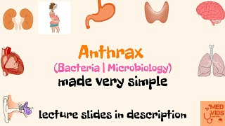 Anthrax  Microbiology  Med Vids Made Simple [upl. by Kcirddahc]