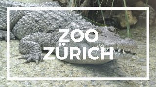 Zoo Zürich  2015 [upl. by Perdita]