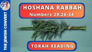 HOSHANA RABBAH TORAH READING in Hebrew with English Translation  TORAH STUDY [upl. by Sadye872]