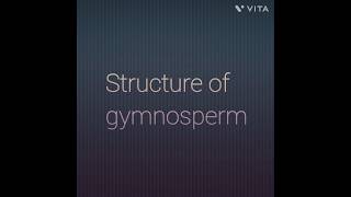 Structure of gymnosperm [upl. by Ariane]