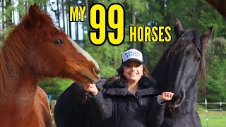 Meet My 99 Horses Living On One Acre MAGICAL [upl. by Meihar]