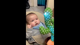 Surprised Baby Cries Baby Gets Scared by Dancing Cactus [upl. by Yanad857]