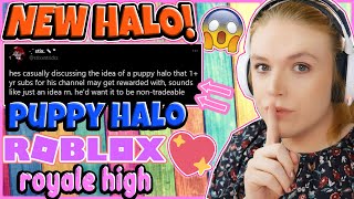 NEW PUPPY HALO NEW STICKERS amp MORE UPDATES 🏰 Royale High Tea [upl. by Bauske]