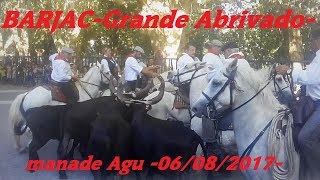 BarjacAbrivadoBandidoAgu06082017 [upl. by Notsur]