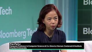 Top Researcher Li on the Promises and Perils of AI [upl. by Ecnaiva]