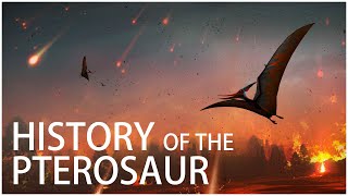 The History of The Pterosaur When Flying Creatures Ruled The World  Dinosaur Documentary [upl. by Ysdnyl]