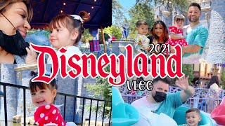 TAKING THE KIDS TO DISNEYLAND Answering your questions amp what to expect [upl. by Jessee6]