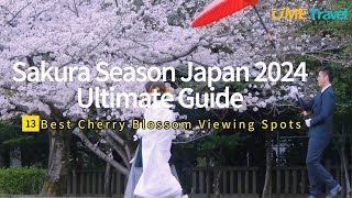 Sakura Season Japan 2024Ultimate Guide：13 Best Cherry Blossom Viewing Spots [upl. by Caplan]