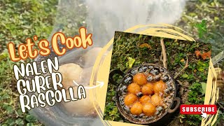 Nalen gurer rasogolla minikitchen foodlover foodblogger sweets foodie [upl. by Ajdan234]