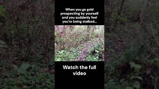 Gold Prospector Scary Encounter With Unknown Creature [upl. by Jeannine76]