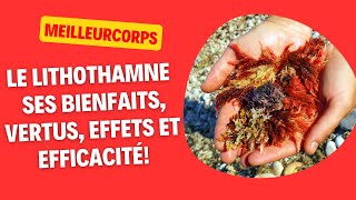 LITHOTHAMNE  SES BIENFAITS VERTUS EFFETS ET EFFICACITÉ [upl. by Ainotal764]