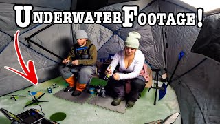 Ice fishing BELOW 0 TEMPERATURES in CLEAR WATER Underwater CAMERA [upl. by Olyhs]