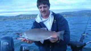 Kokanee Fishing Lake Berryessa 91309 [upl. by Pernick]