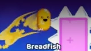 Breadfish [upl. by Neda970]