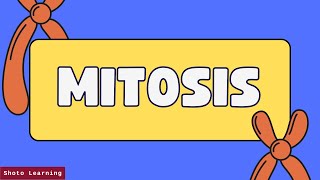 Exploring Mitosis Understanding Cell Division [upl. by Negaet]