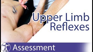 Upper Limb Deep Tendon Reflexes  Peripheral Neurological Examination [upl. by Maisie]