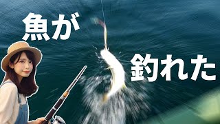 転覆しかけたボートで魚が釣れた（BIC245 Sportyak245 2馬力ボート） [upl. by Weeks]