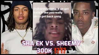 Sha EK amp Sheemy GO TO WAR Over Sha Ek DISSING 300 In New Video [upl. by Walter]