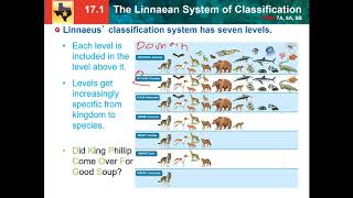 171 Linnaean system of classification [upl. by Dragone626]