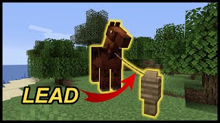 How To Use Lead In Minecraft [upl. by Kennith]