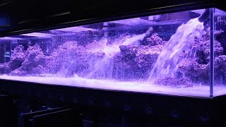 800 Aquarium pt2 Aquascape  Floating Shelf [upl. by Samaria]