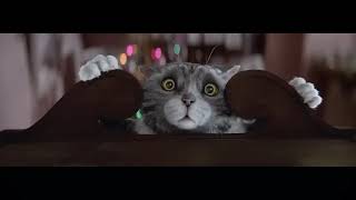 Sainsburys Christmas Advert  2015  Mogs Christmas Calamity [upl. by Pelagias]