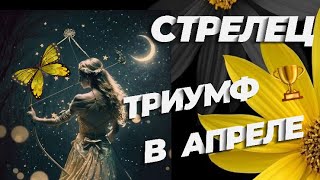 ♐️СТРЕЛЕЦТАРО ПРОГНОЗ НА АПРЕЛЬ МЕСЯЦ 2024✨ВЫ НА КОНЕВАС ЖДЕТ УСПЕХ 🌟 [upl. by Diao]