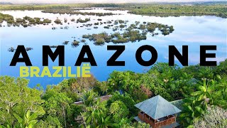 AMAZONE BRAZILIË Piranhas Apen en DOLFIJNEN in ‘s Werelds Mooiste Jungle [upl. by Ithsav]