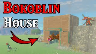 Giving a Bokoblin a House  The Legend of Zelda Tears of the Kingdom [upl. by Sybille]