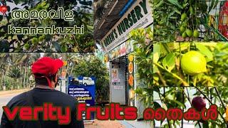 Verity Fruits തൈകൾ വില കുറവിൽ  Trivandrum  malayalam  Green’s nursery Amaravila [upl. by Singh]