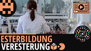 Esterbildung Veresterung│Chemie Lernvideo│Learning Level Up [upl. by Rotciv]