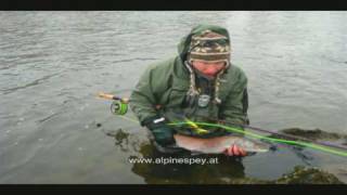 Fliegenfischen auf Huchen  Flyfishing for Hucho Taimen [upl. by Stedman]