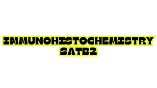 IMMUNOHISTOCHEMISTRY SATB2 [upl. by Zahara]