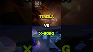 Terizla vs XBorg [upl. by Fregger344]