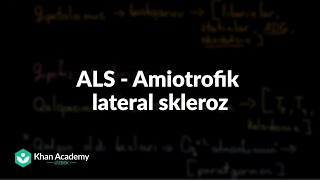 ALS  Amiotrofik lateral skleroz  Tibbiyot [upl. by Ernaldus]