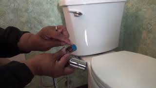 How to transform your toilet into a bidet in less than 30 mins [upl. by Obeng]