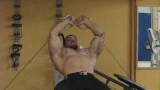 Bodybuilding Chest Workout 06 [upl. by Ahsenav]