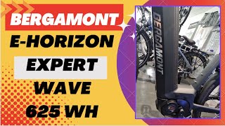 Bergamont E Horizon Expert Wave [upl. by Ayanahs224]