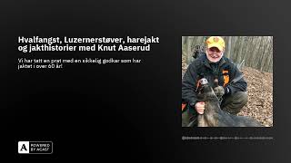 Hvalfangst Luzernerstøver harejakt og jakthistorier med Knut Aaserud [upl. by Sirref]