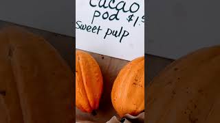 Raw cacao used to make chocolate at the farmer’s market foodie travelvlog hawaii crazyfood [upl. by Semele]