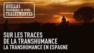 SUR LES TRACES DE LA TRANSHUMANCE LA TRANSHUMANCE EN ESPAGNE trailer [upl. by Oba]